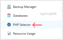 Plesk php selector